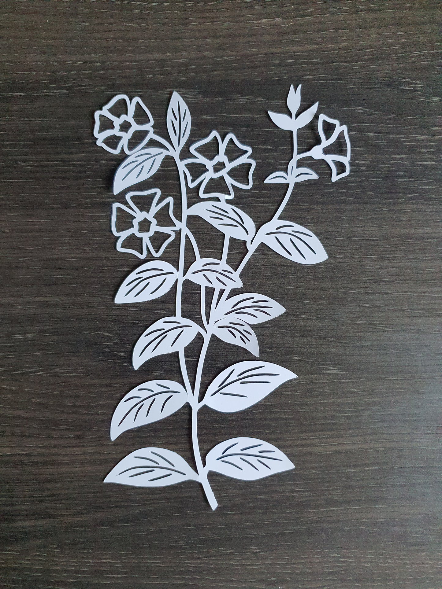 Blume 1