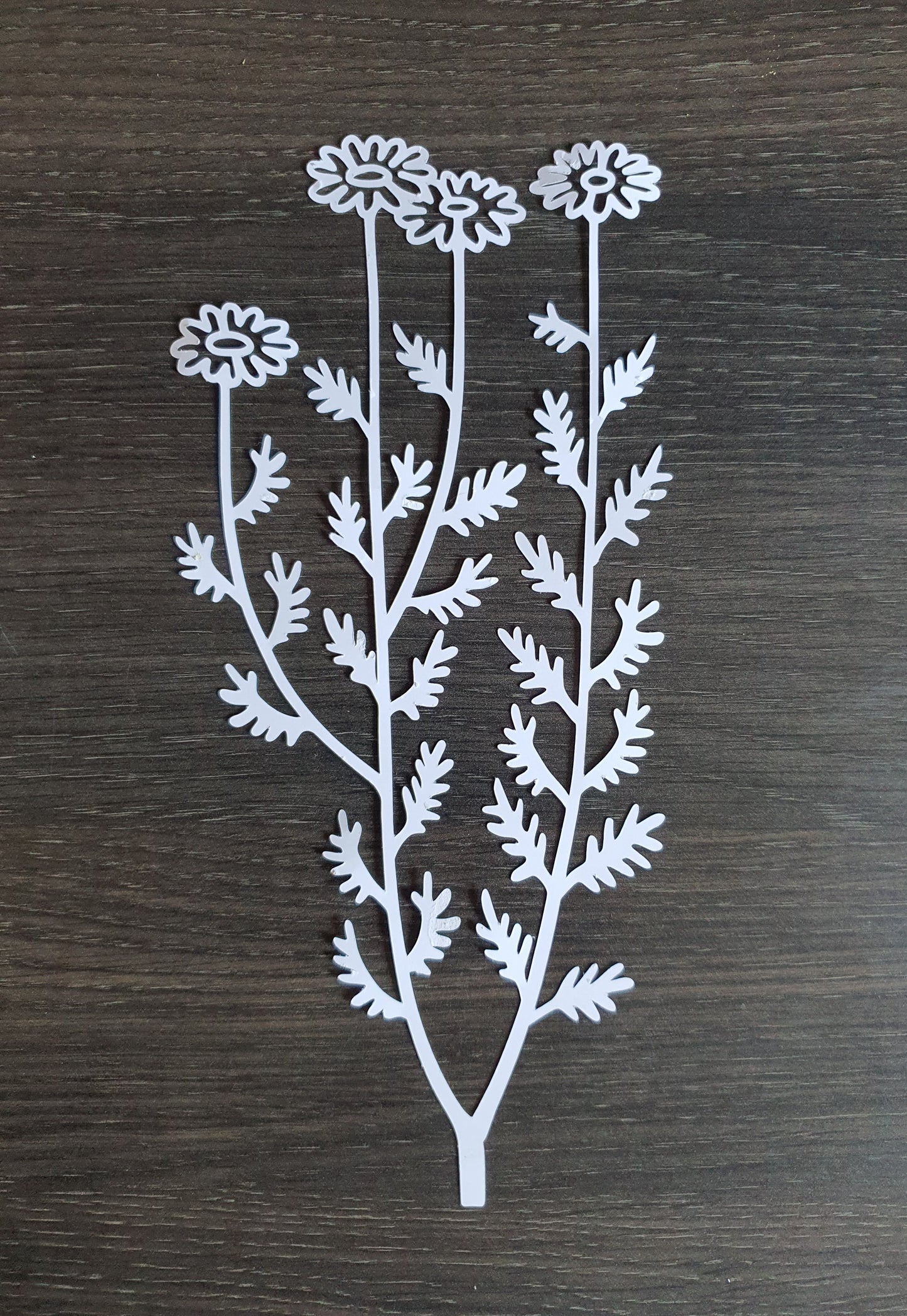 Blomma 5