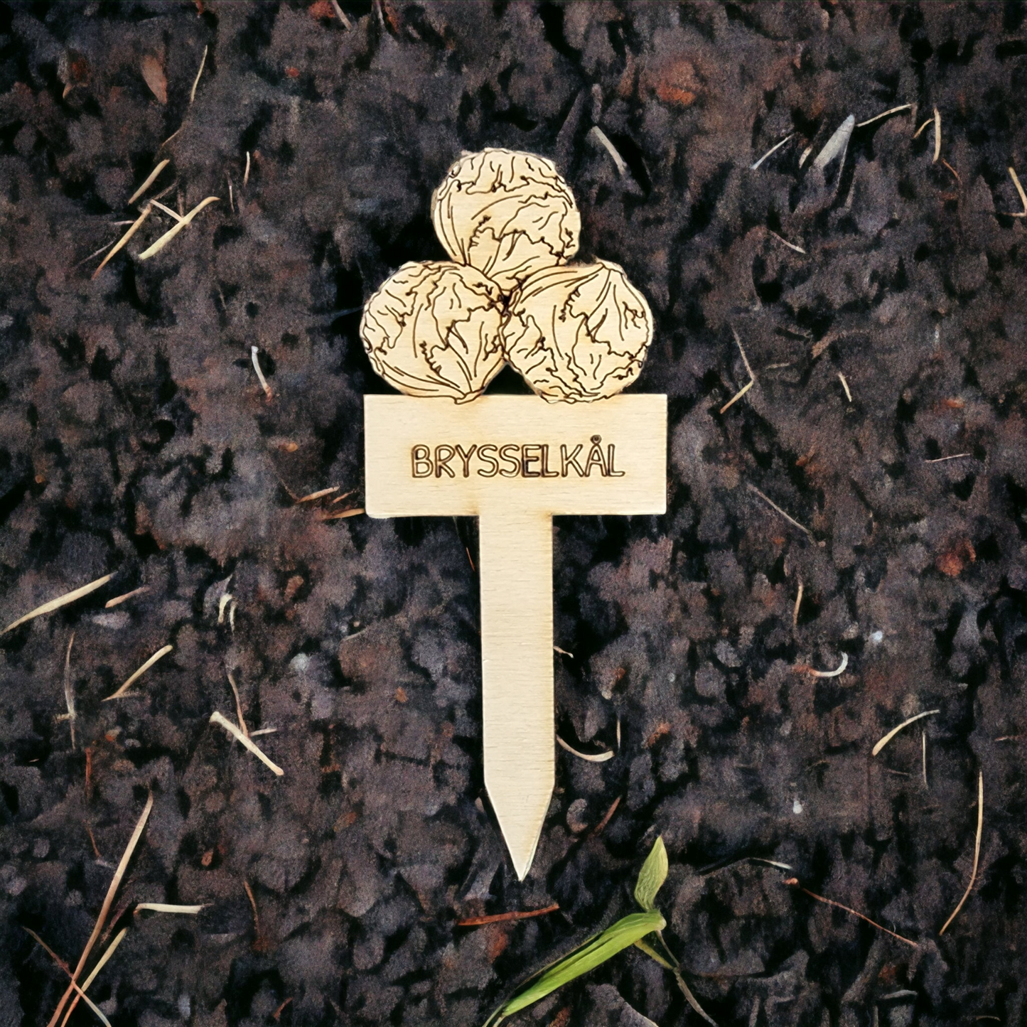 Pflanzenetikett Rosenkohl