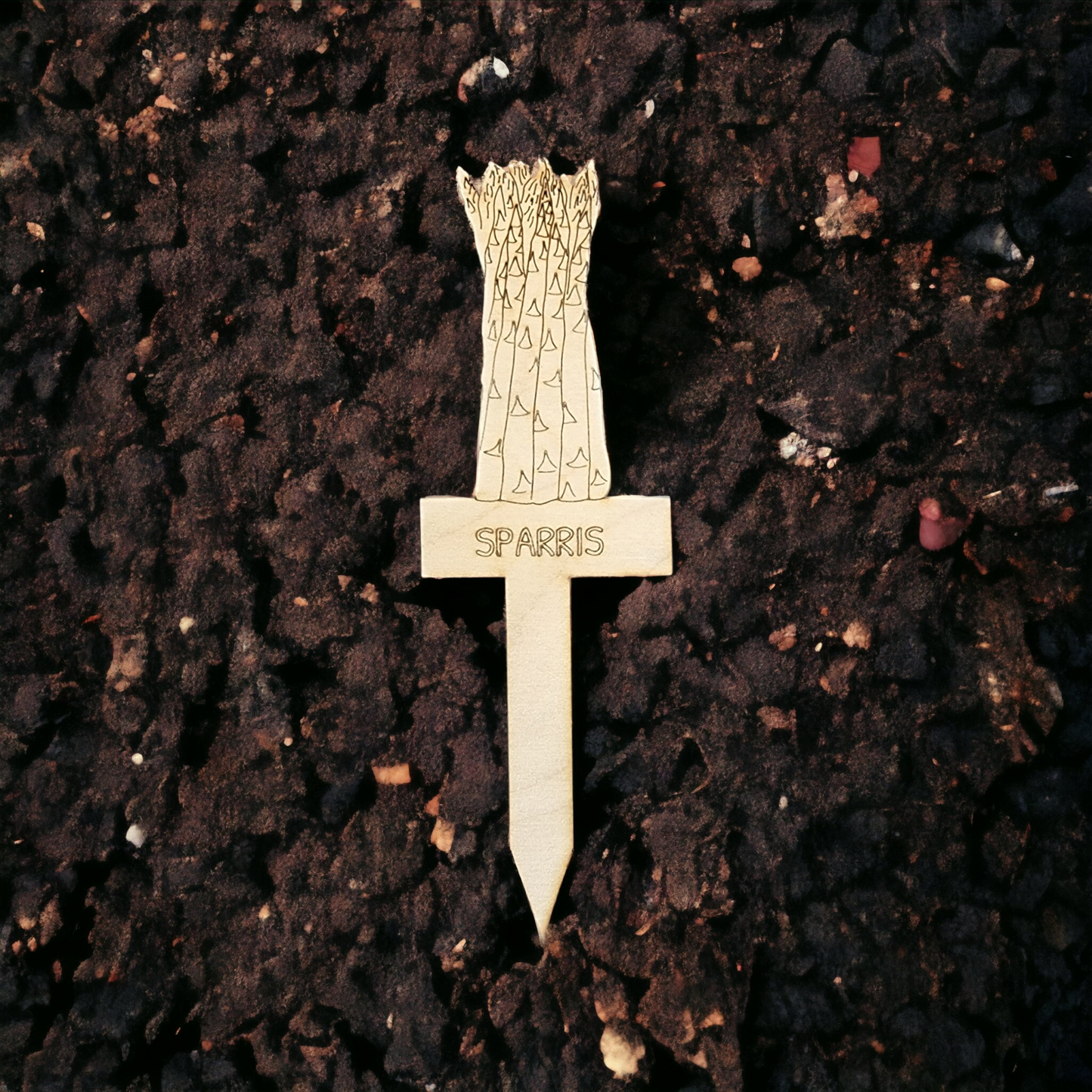 Pflanzenetikett Spargel