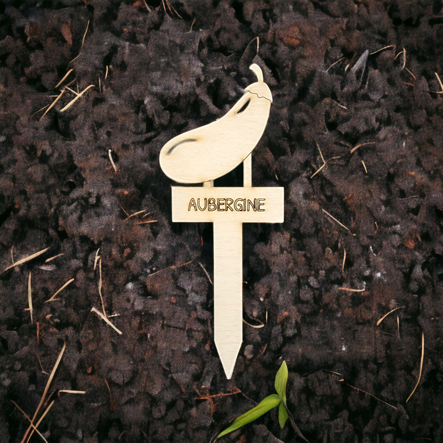 Pflanzenetikett Aubergine